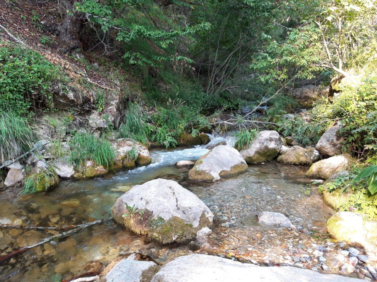 Kuca Za Odmor Grujic Villa Kolasin Bagian luar foto